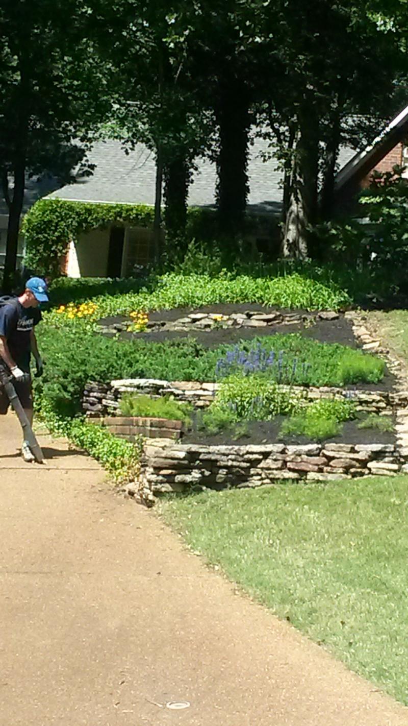 Stone Planters