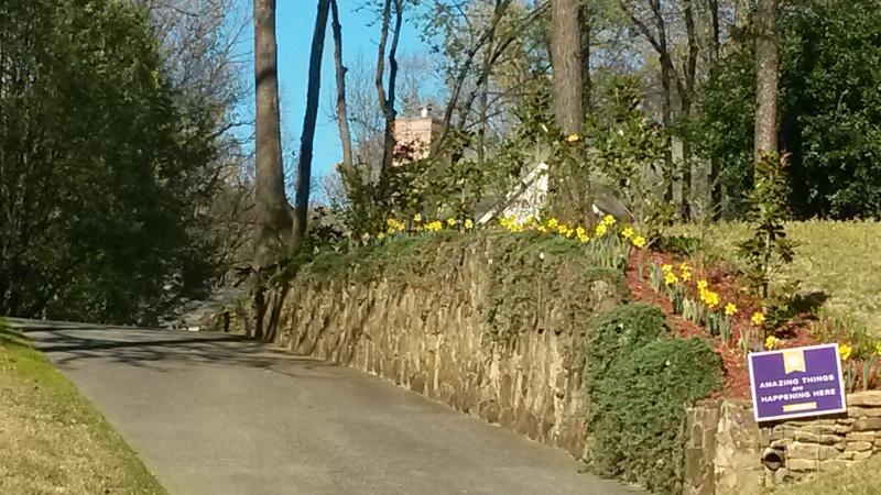 Stone Planter